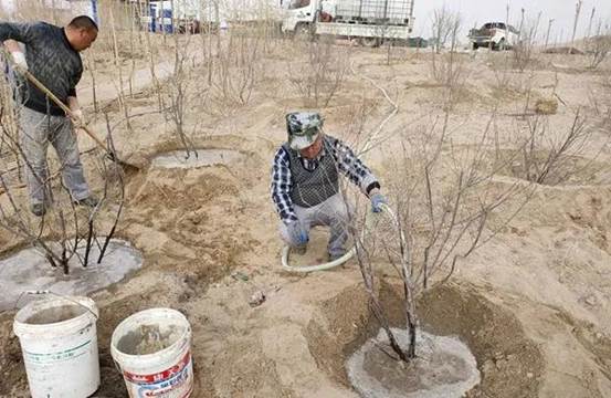 巡线班植树现。ㄖ炖窬 摄）2
